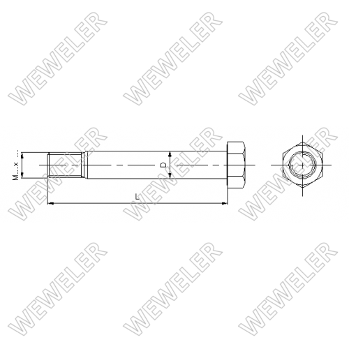 Болт М27/30x195 полурессоры SCHMITZ - WEWELER/C401016G